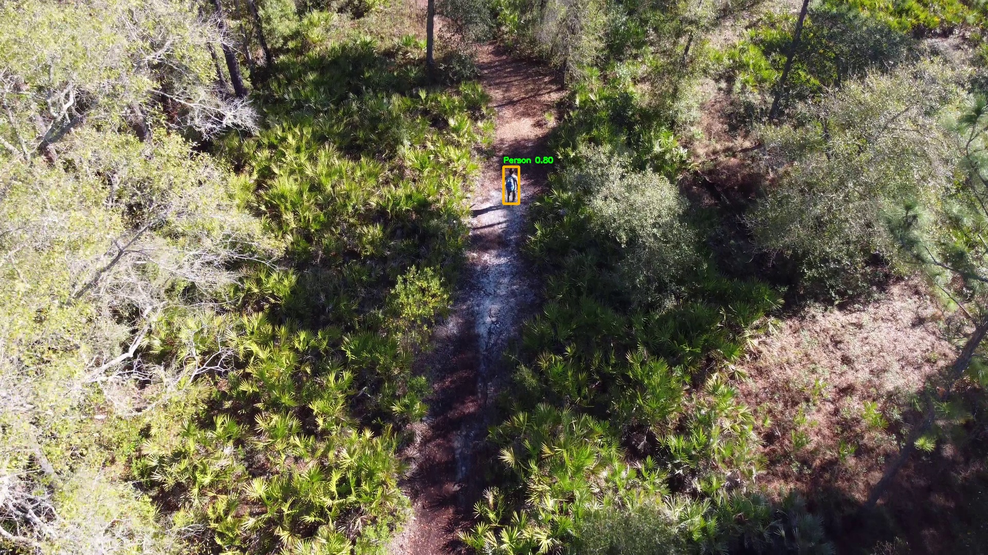 Woodland trail detection example