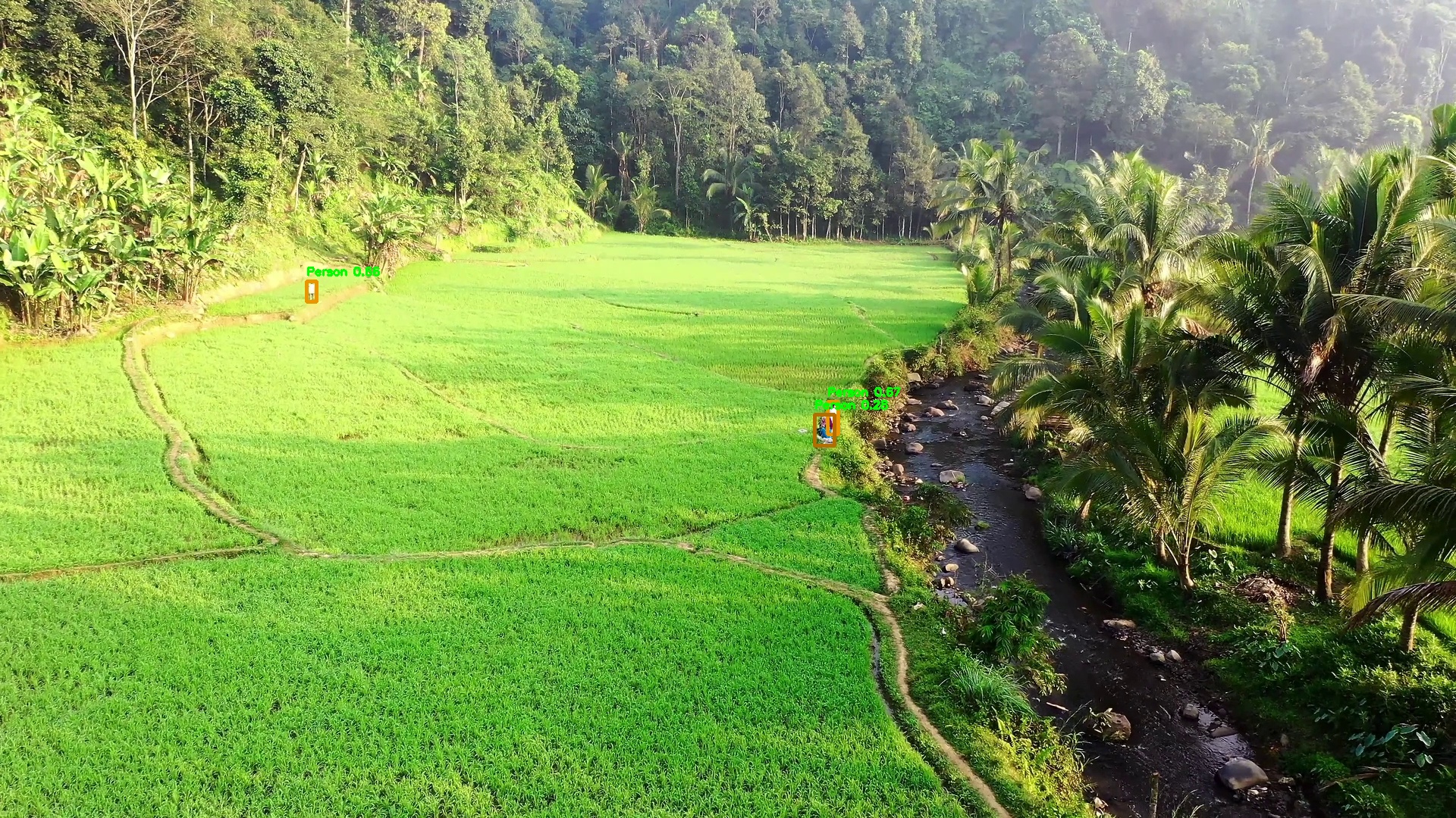 Dense vegetation mixed terrain detection example